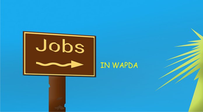 Jobs in Wapda