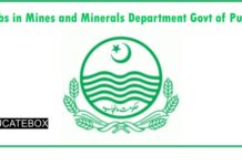 Jobs in Mines and Minerals Department Govt of Punjab Jobs in Mines and Minerals Department Govt of Punjab
