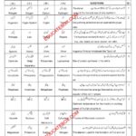 Model Paper 9th Biology 2015-17 Model Paper of 9th Class Computer Science 2015-17 - Objective Type Paper