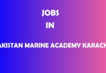 Jobs in Pakistan Marine Academy Karachi Jobs in Pakistan Marine Academy Karachi