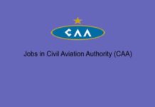 Jobs in Civil Aviation Authority (CAA) Jobs in Civil Aviation Authority (CAA)