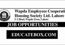 Jobs in Wapda Employees Cooperative Housing Society Jobs in Wapda Employees Cooperative Housing Society
