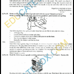 Past Paper 8th Class English 2016 Solved Paper Punjab Board (PEC) Version 1 Past Paper 8th Class English 2016 Punjab Board (PEC) Subjective Type Version 1 Solved Paper