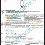 Past Paper 8th Class Science 2016 Solved Paper EM Punjab Board (PEC) Version 1 Past Paper 8th Class Science 2016 Solved Paper Punjab Board (PEC) Subjective Type Version 1