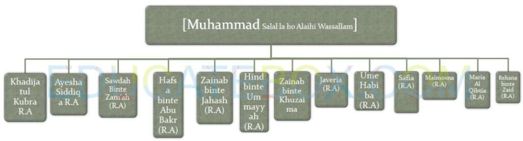 name of prophet muhammad saw wife