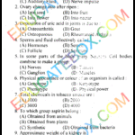 Past Paper 10th Class Biology Lahore Board 2014 English Medium Group 1 Past Paper 10th Class Biology Lahore Board 2014 Group 1 Objective Type English Medium