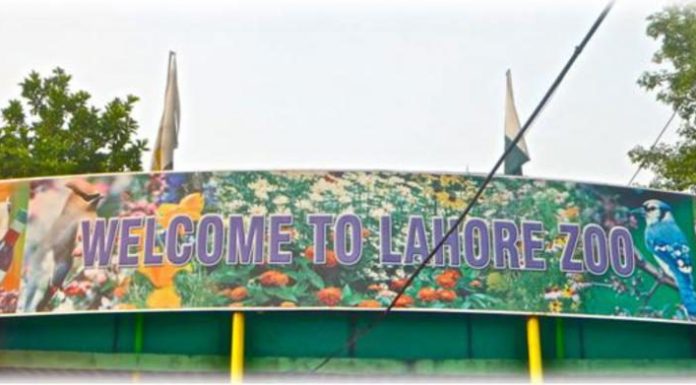 The History of Lahore Zoo Lahore Zoo History